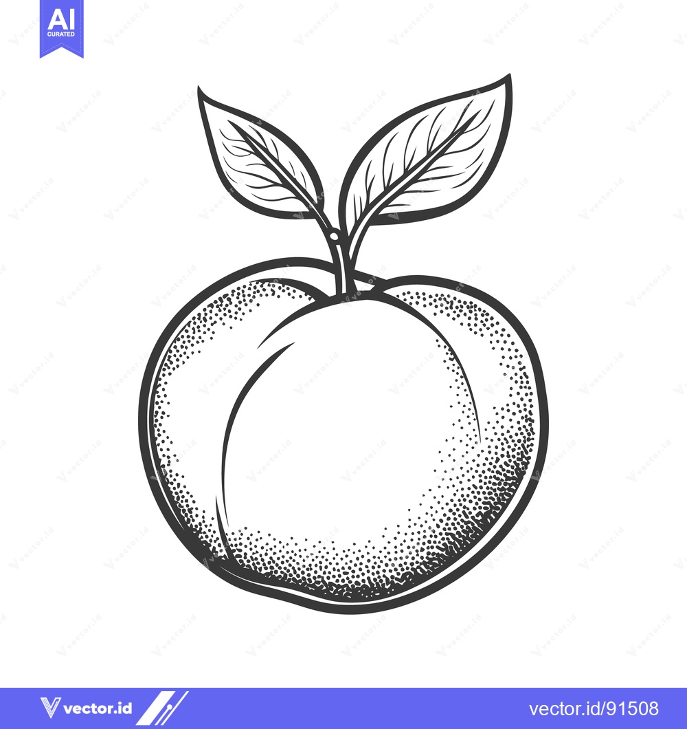 Premium Vector dari A simple line drawing of a peach with leaves