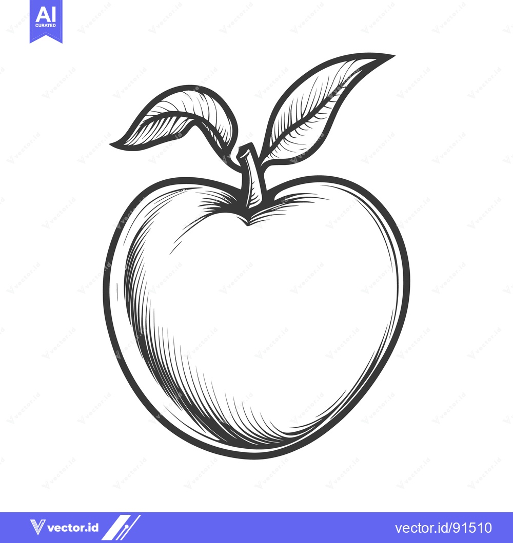 Premium Vector of A Detailed Vector Drawing Depicting an Apple with Leaves