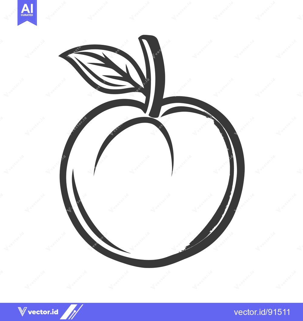 Premium Vector of An outlined drawing of a single peach fruit with a leaf