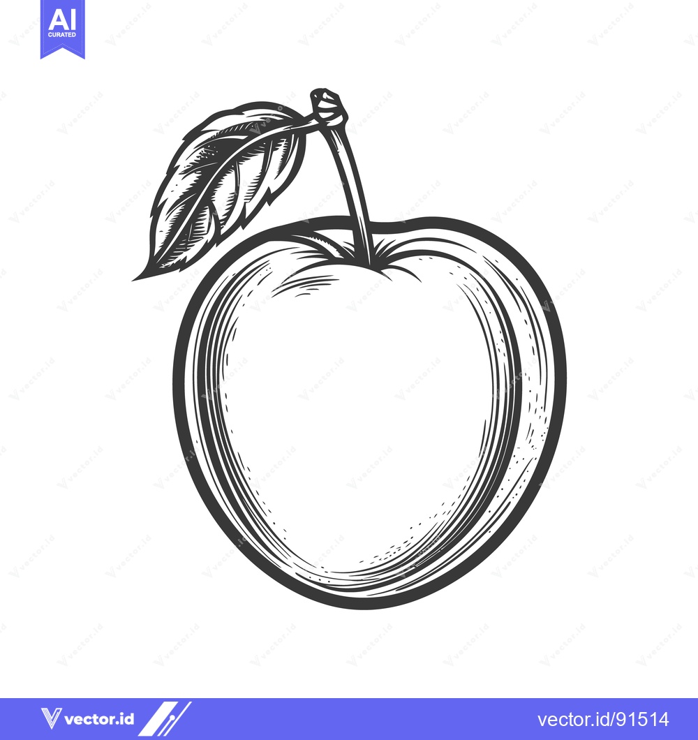 Premium Vector dari Detailed illustration depicts a single apple with its attached leaf