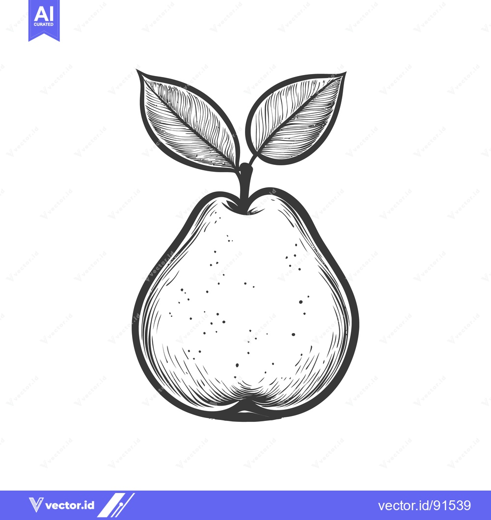 Premium Vector dari An illustrative black and white drawing of a pear fruit