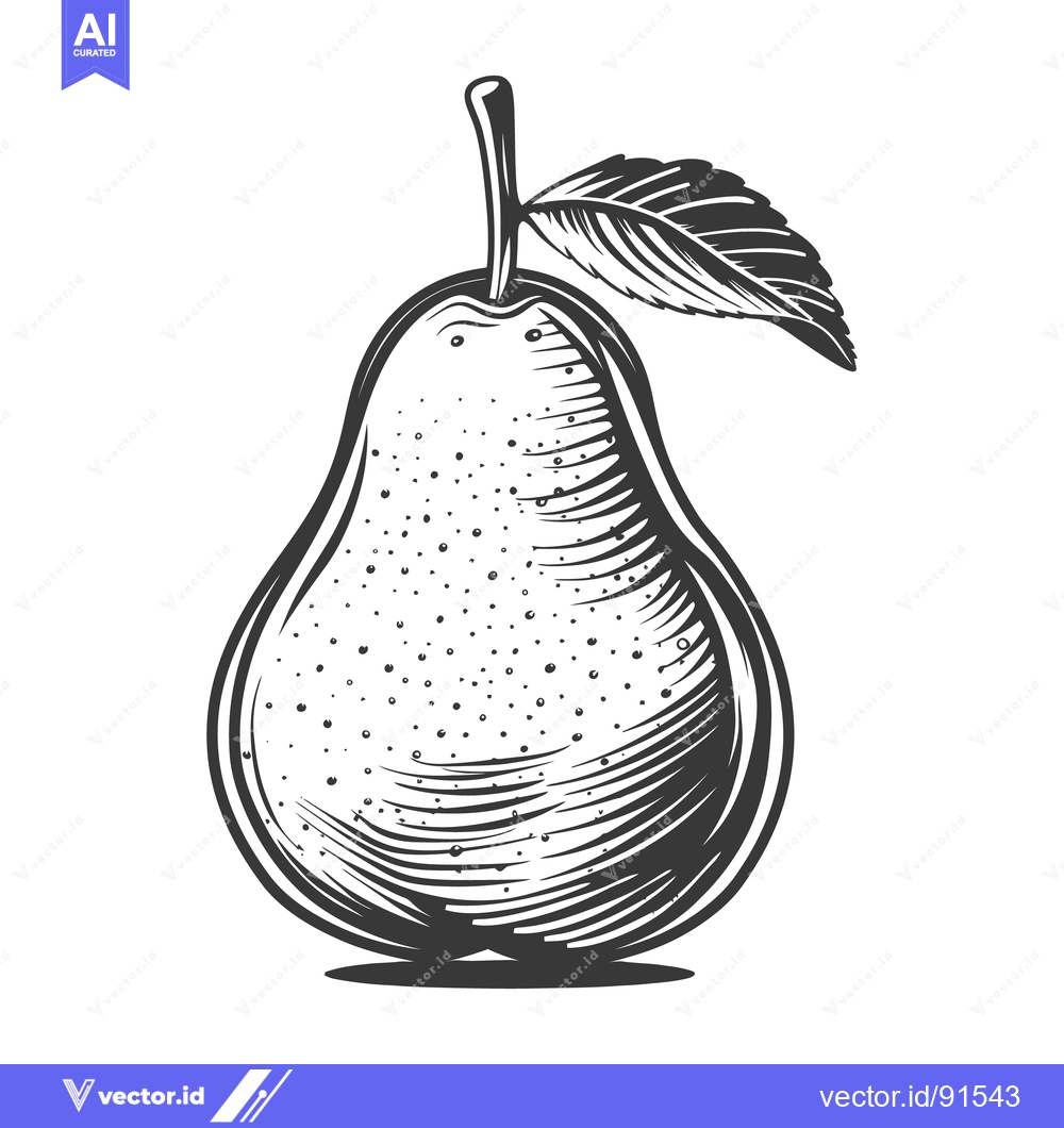 Premium Vector of A detailed illustration of a single fresh pear with a leaf