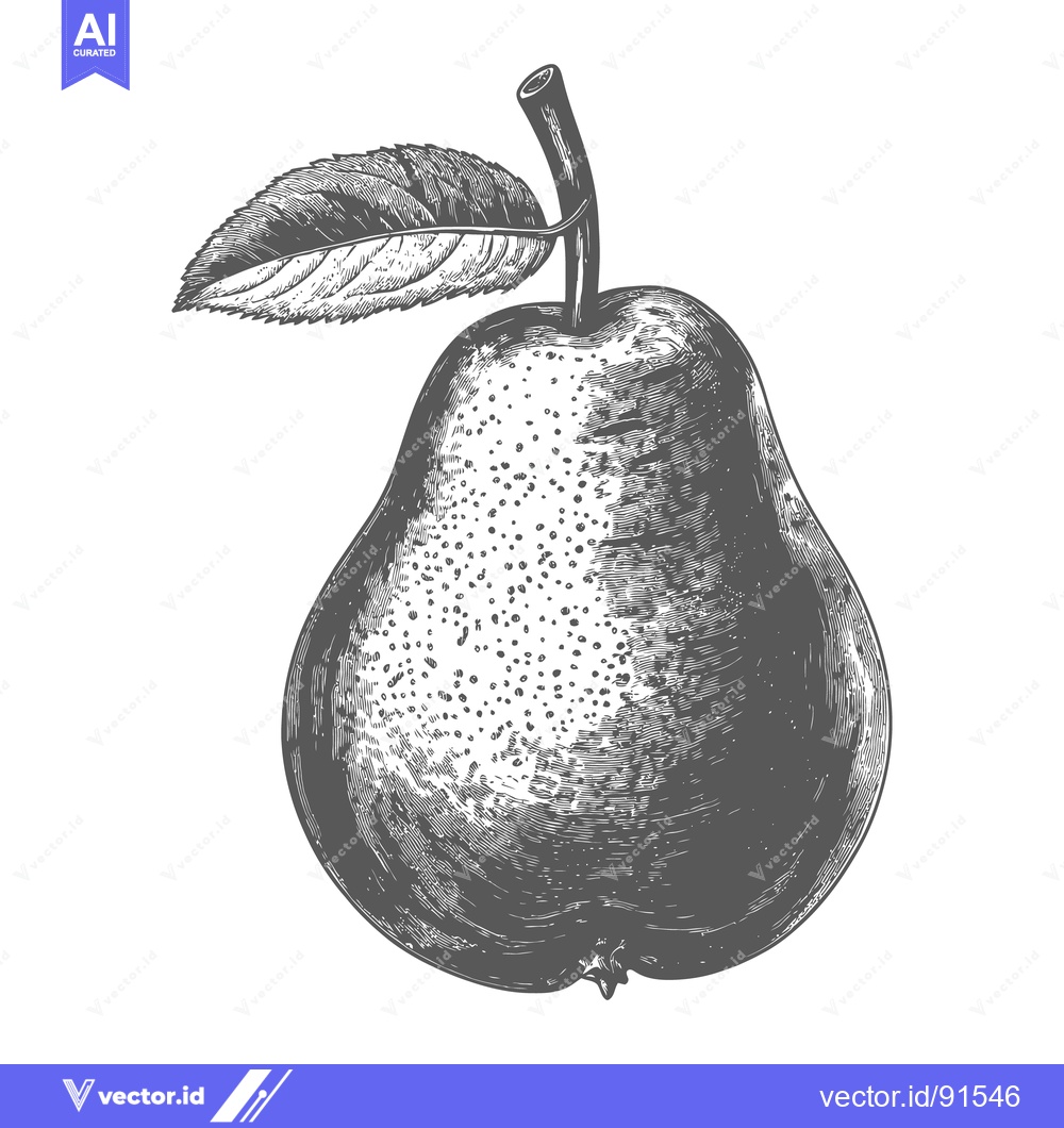Premium Vector dari A detailed grayscale illustration of a single ripe pear fruit