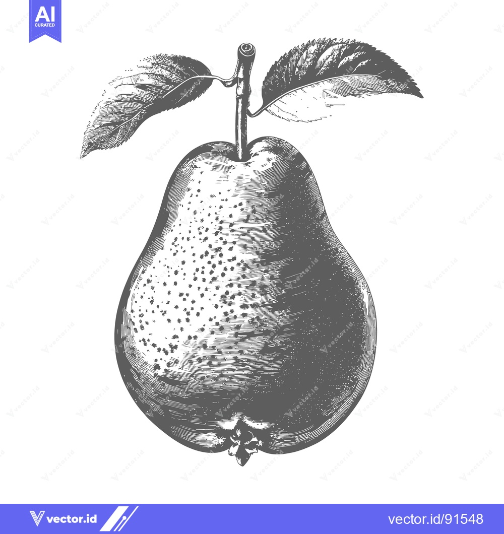 Premium Vector of A detailed illustration of a ripe pear with green leaves
