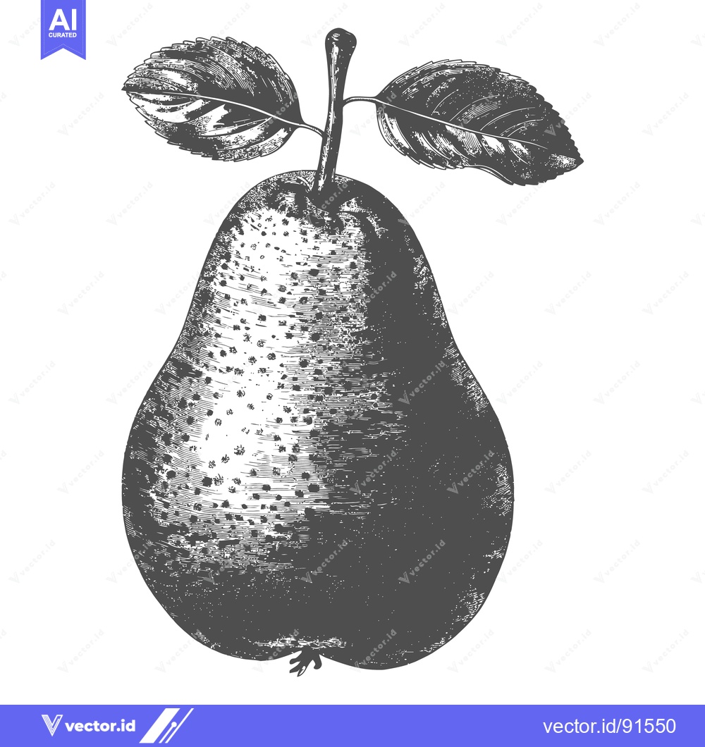 Premium Vector dari Detailed monochromatic illustration of a ripe pear with leaves