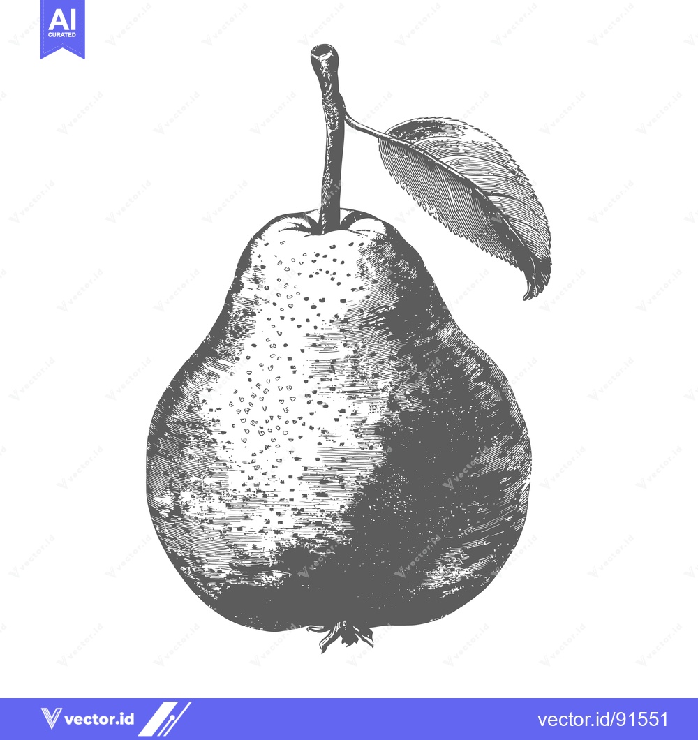 Premium Vector dari A detailed vintage illustration depicting a single ripe pear fruit