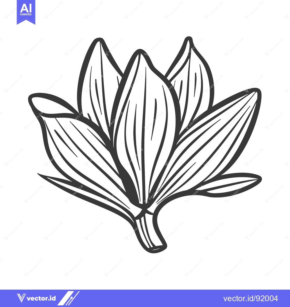 Premium Vector of A simple line art illustration depicting an open floral bloom