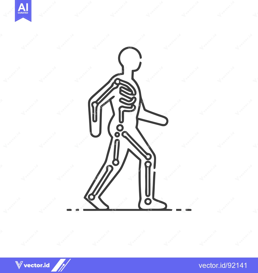 Premium Vector dari Walking Skeleton: Anatomical Outline of Human Figure in Motion, Medica