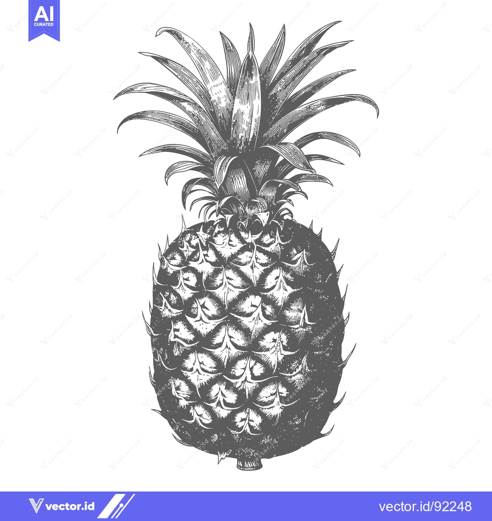Premium Vector dari An artistic black and white illustration of a delicious pineapple