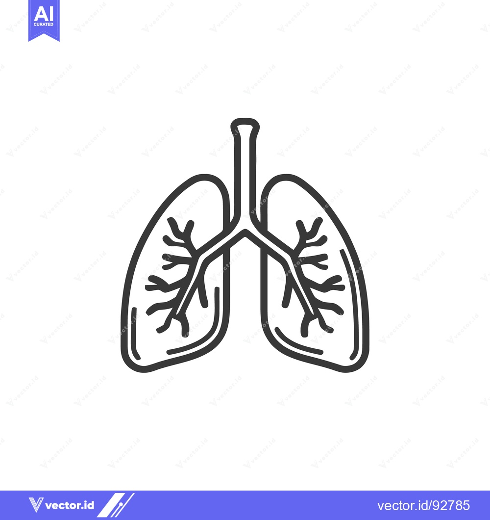 Premium Vector dari Minimalist Lung Icon: Human Respiratory System Outline on White Backgr
