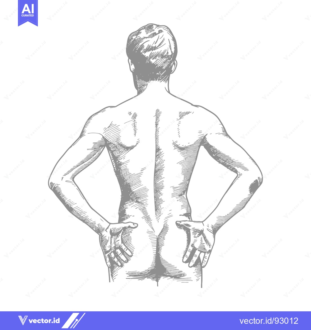 Premium Vector of Rear View Hand Sketch of a Man's Torso