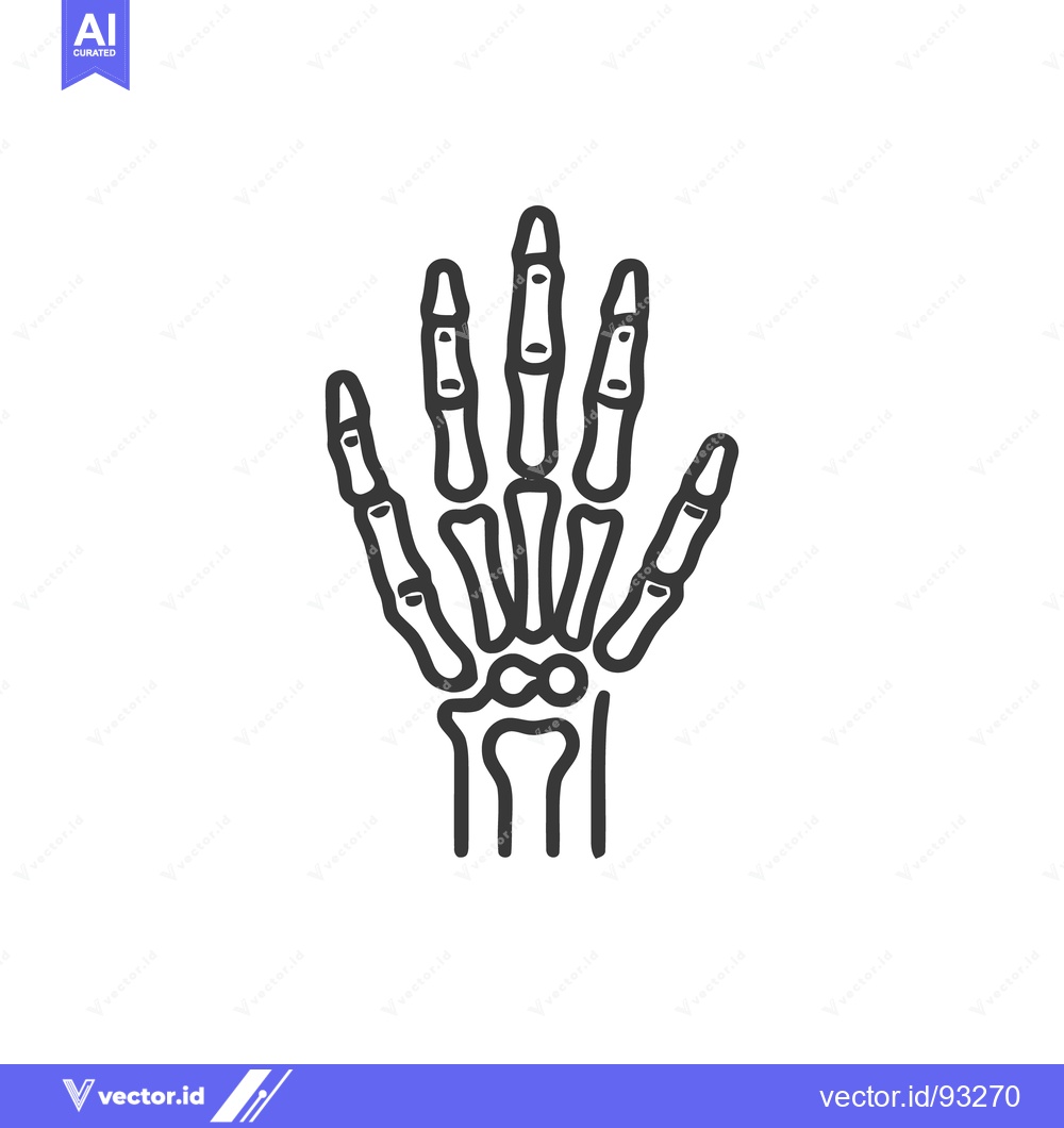 Premium Vector dari Anatomical Hand Skeleton Outline: Medical Illustration on White Backgr