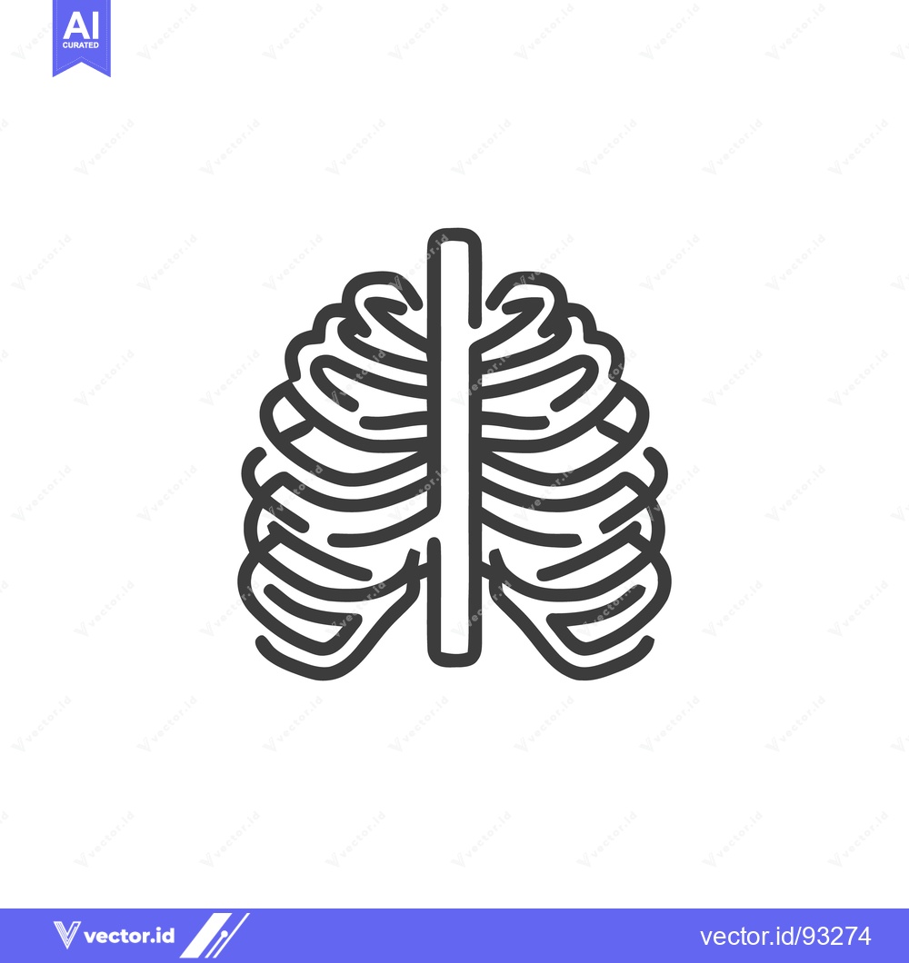 Premium Vector of Anatomical Ribcage Outline: Medical Illustration of Human Skeletal Str