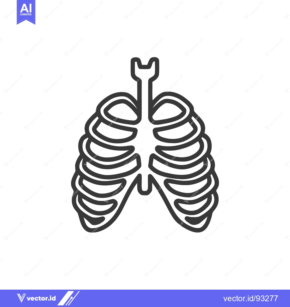 Premium Vector of Rib Cage Outline: Anatomical Vector Illustration on White Background