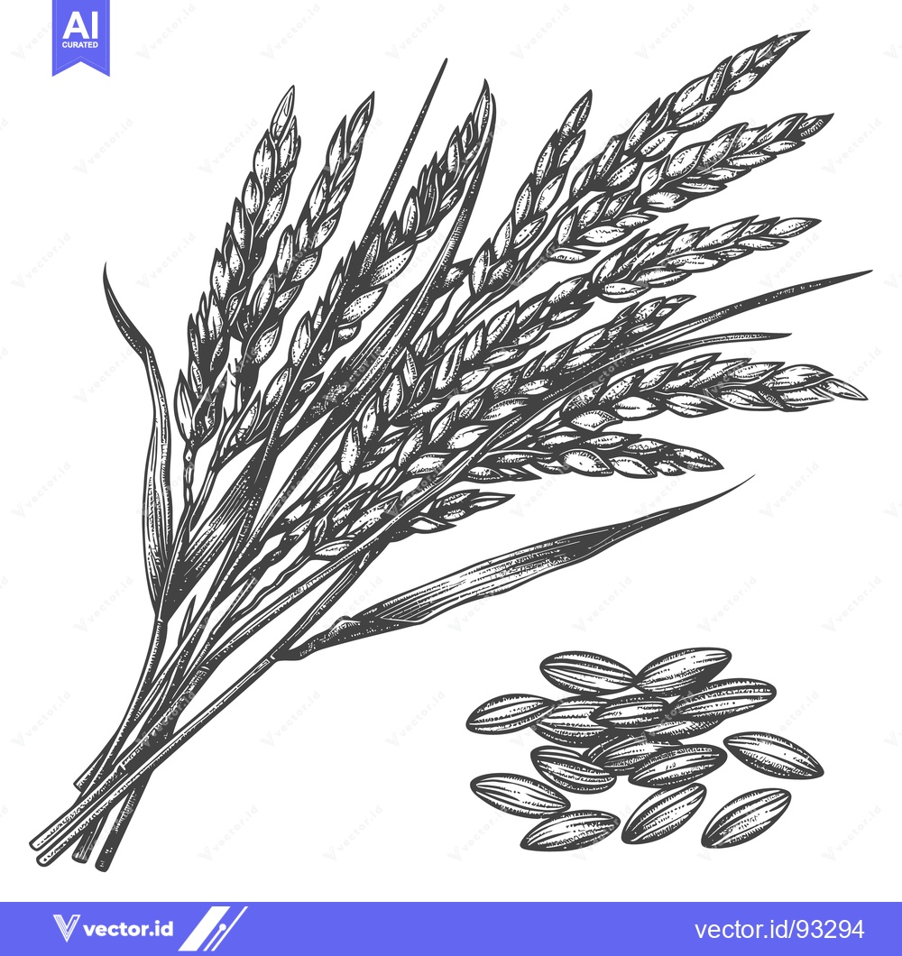 Premium Vector dari Illustration depicting a bunch of grain stalks with loose seeds