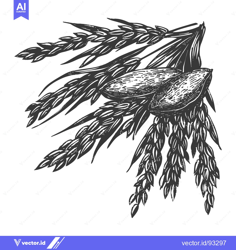 Premium Vector of Artistic black and white illustration of oat grains and plant
