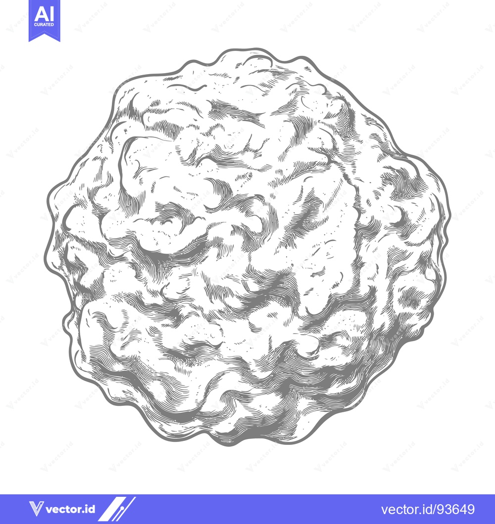 Premium Vector dari A detailed monochrome illustration of a textured round object