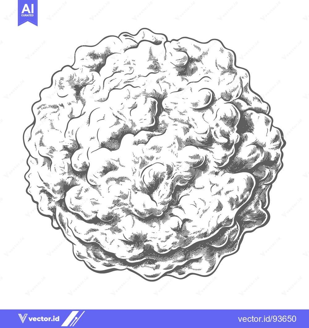 Premium Vector of A detailed ink drawing depicting a puffy circular cloud like structure