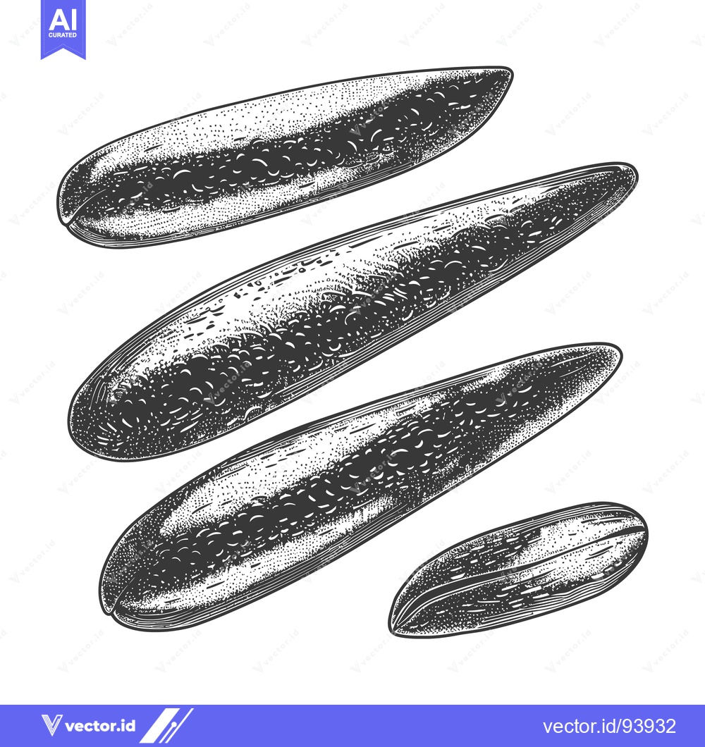 Premium Vector dari Illustration depicting multiple oblong shaped seeds in a black ink sty