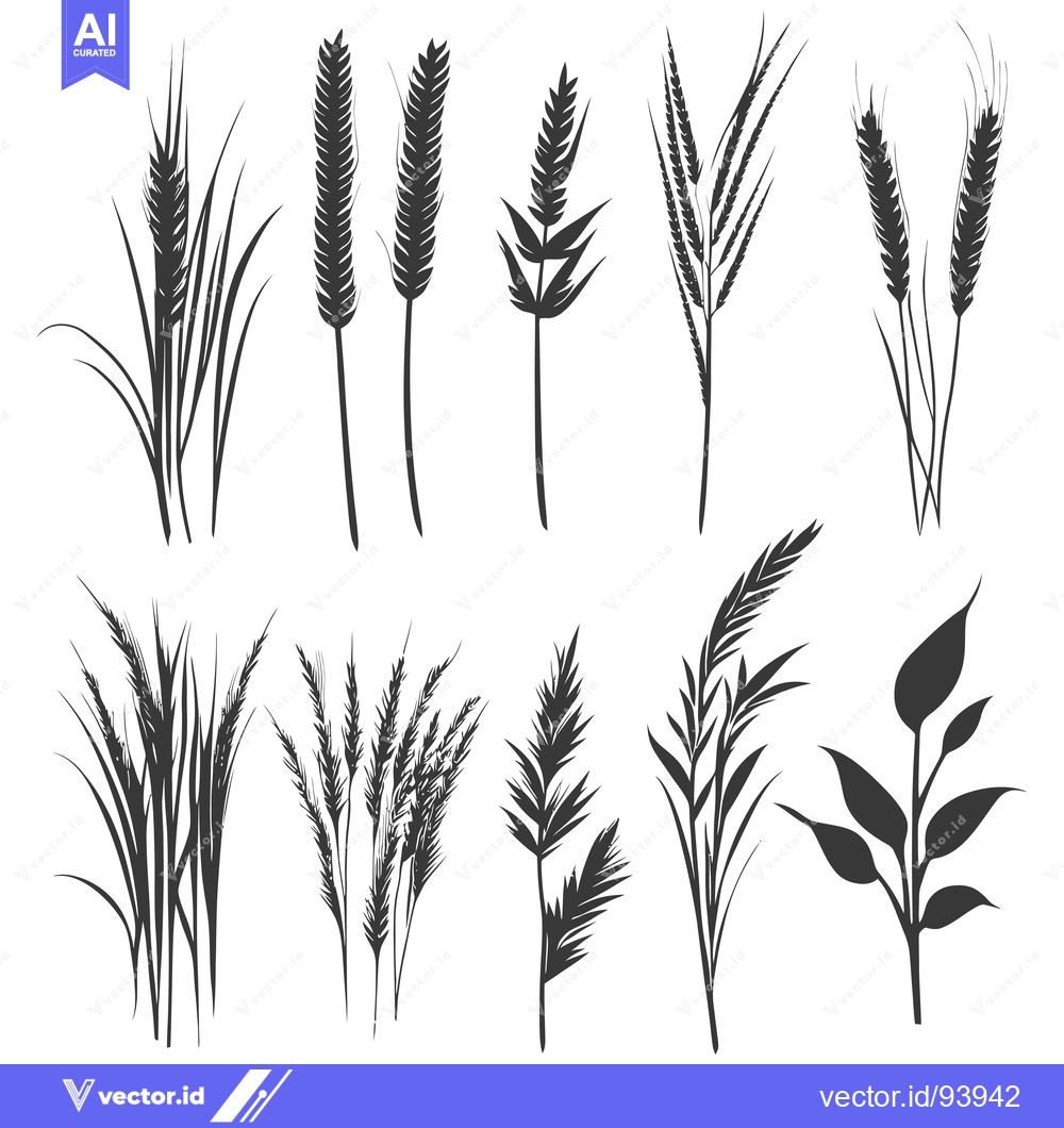 Premium Vector of Set of 10 Black and White Silhouettes of Grass and Wheat