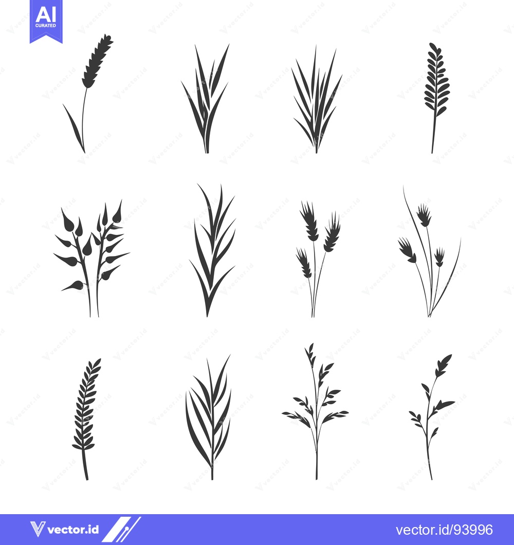 Premium Vector of Set of 12 Hand-Drawn Black and White Floral Elements