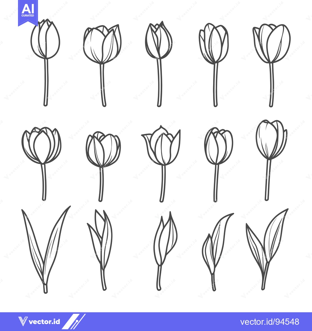 Premium Vector of Set of 18 Hand-Drawn Outline Illustrations of Tulips in Different Stag