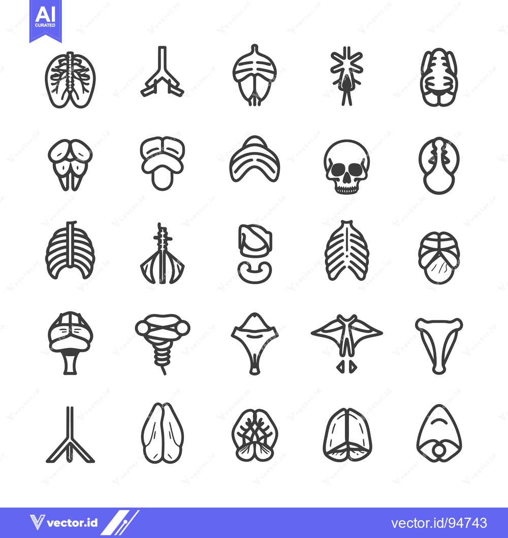 Premium Vector of Set of 25 Human Anatomy Line Icons