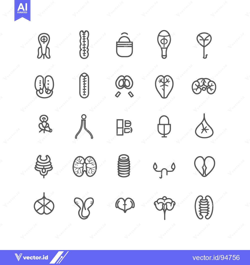 Premium Vector dari Set of 25 Line Icons Related to Human Anatomy
