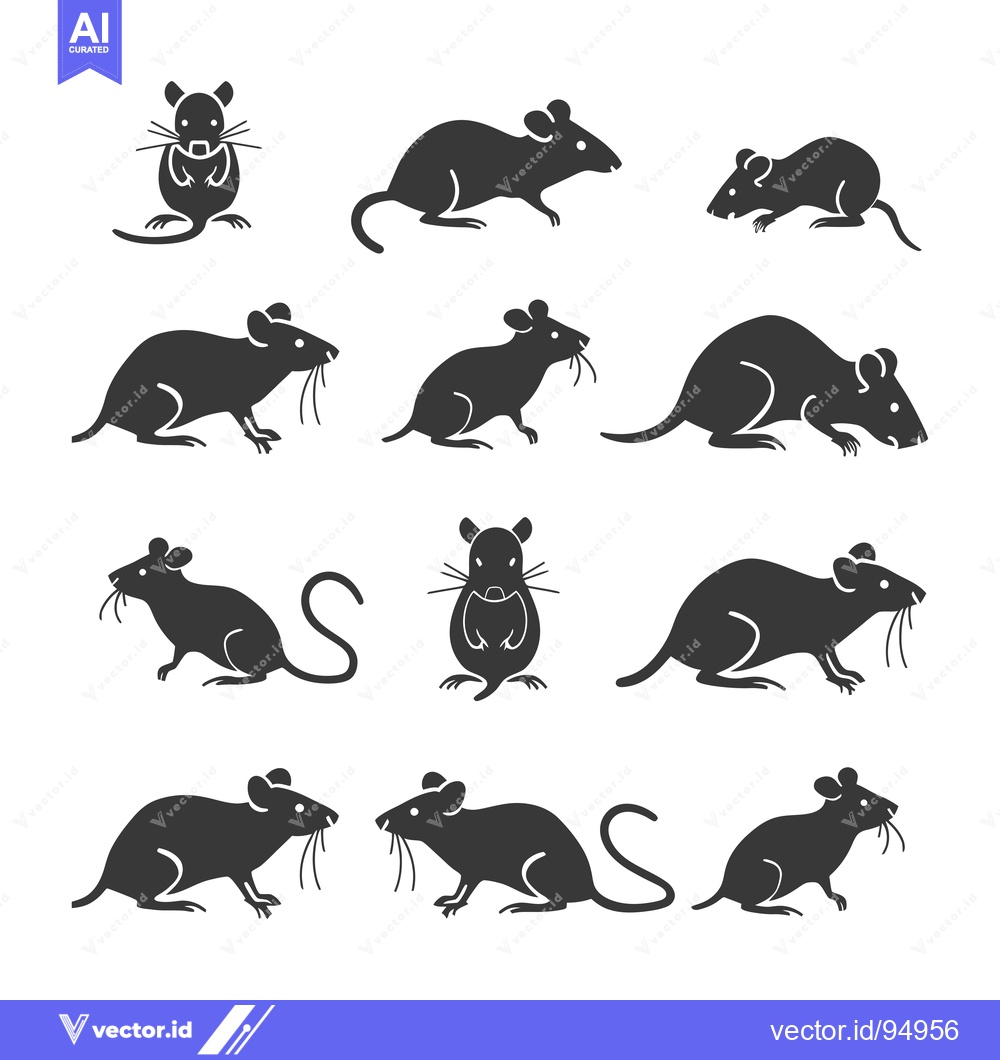 Premium Vector dari Set of Black and White Rat Silhouettes in Various Poses