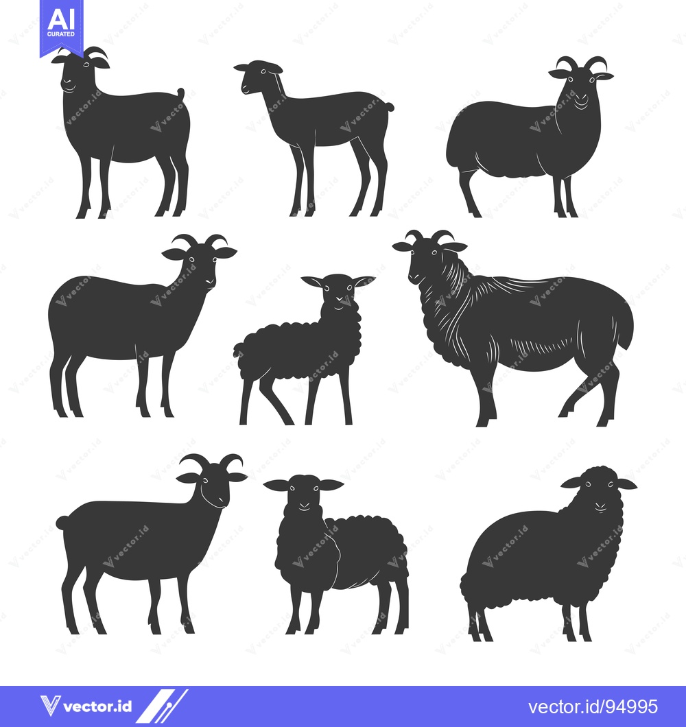 Premium Vector dari Set of Black Sheep Silhouettes in Different Poses
