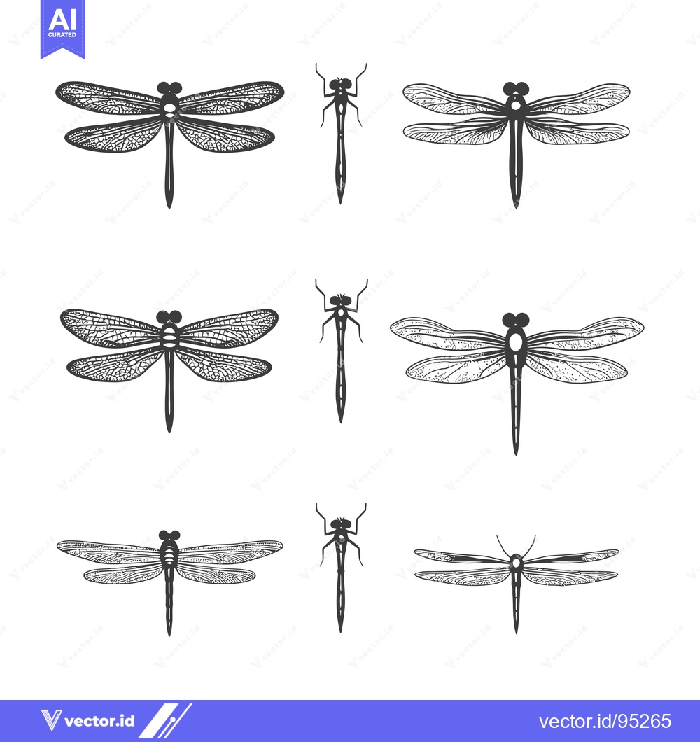 Premium Vector dari Set of Hand Drawn Dragonfly Illustrations
