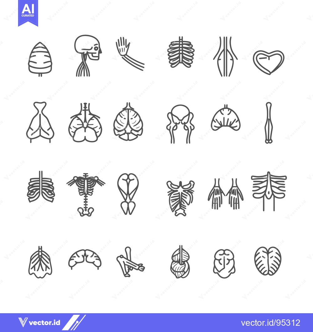 Premium Vector of Set of Human Anatomy Line Icons for Medical Illustration