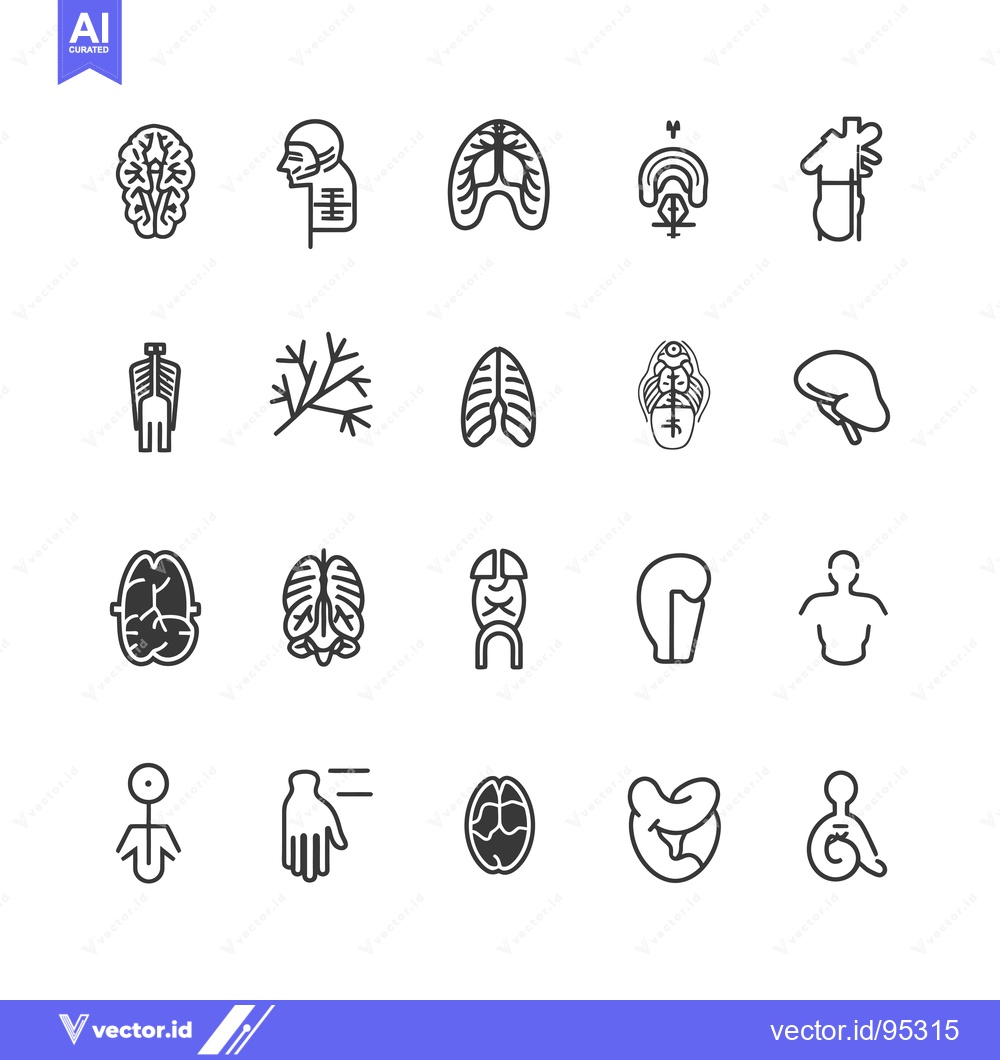 Premium Vector dari Set of Human Organ Icons in Outline Style
