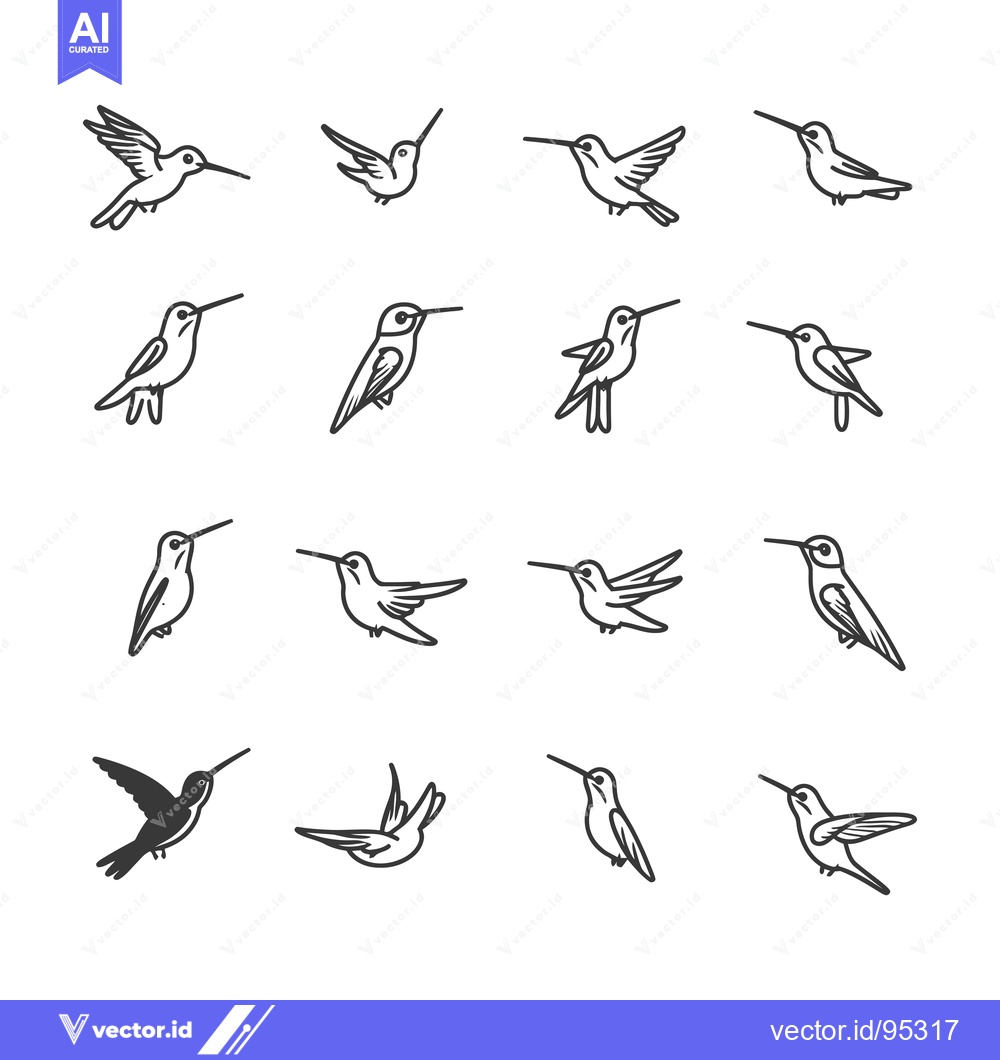 Premium Vector of Set of Hummingbird Line Drawings in Various Poses