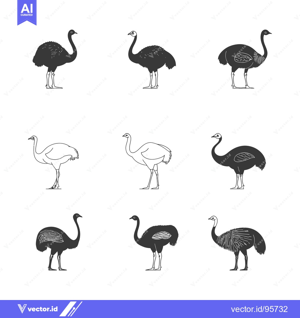 Premium Vector dari Set of nine black and white cassowary bird illustrations