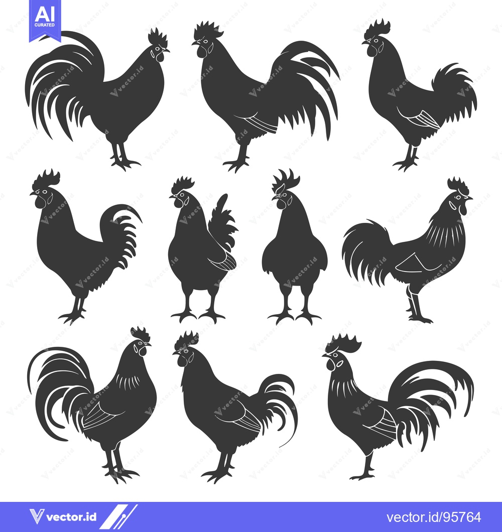 Premium Vector dari Set of nine black rooster silhouettes in various poses