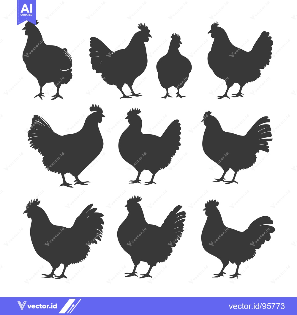 Premium Vector dari Set of Nine Chicken Silhouettes in Different Poses