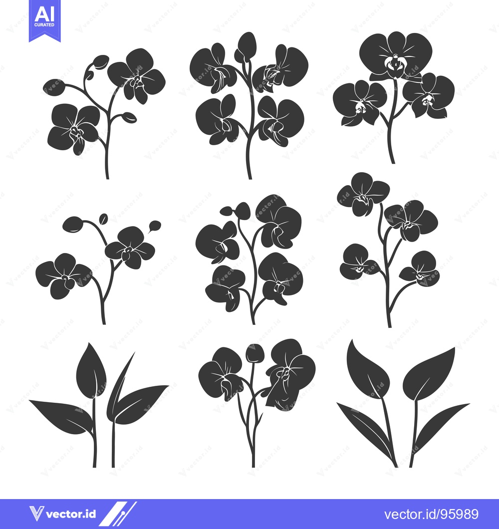 Premium Vector of Set of Orchid Flower Silhouettes in Black and White