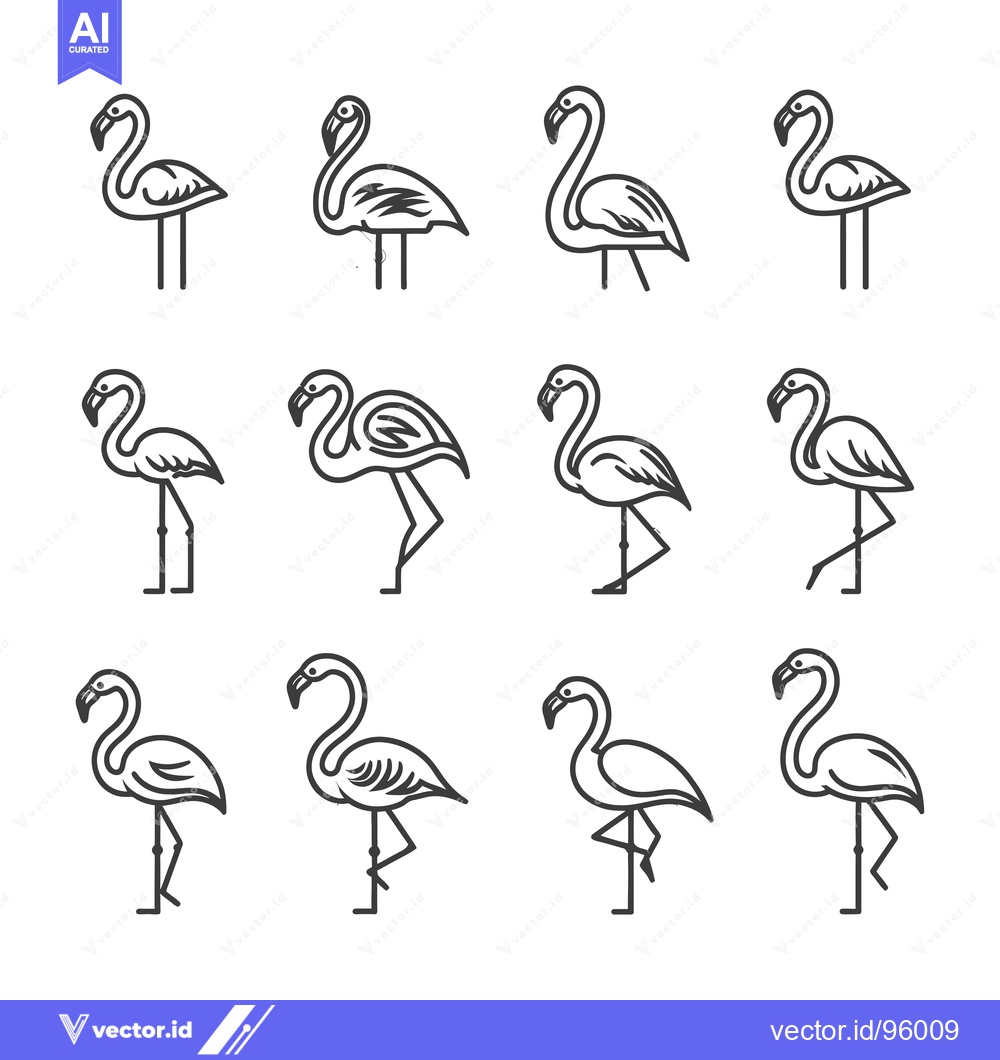 Premium Vector of Set of Outline Flamingo Illustrations in Different Poses