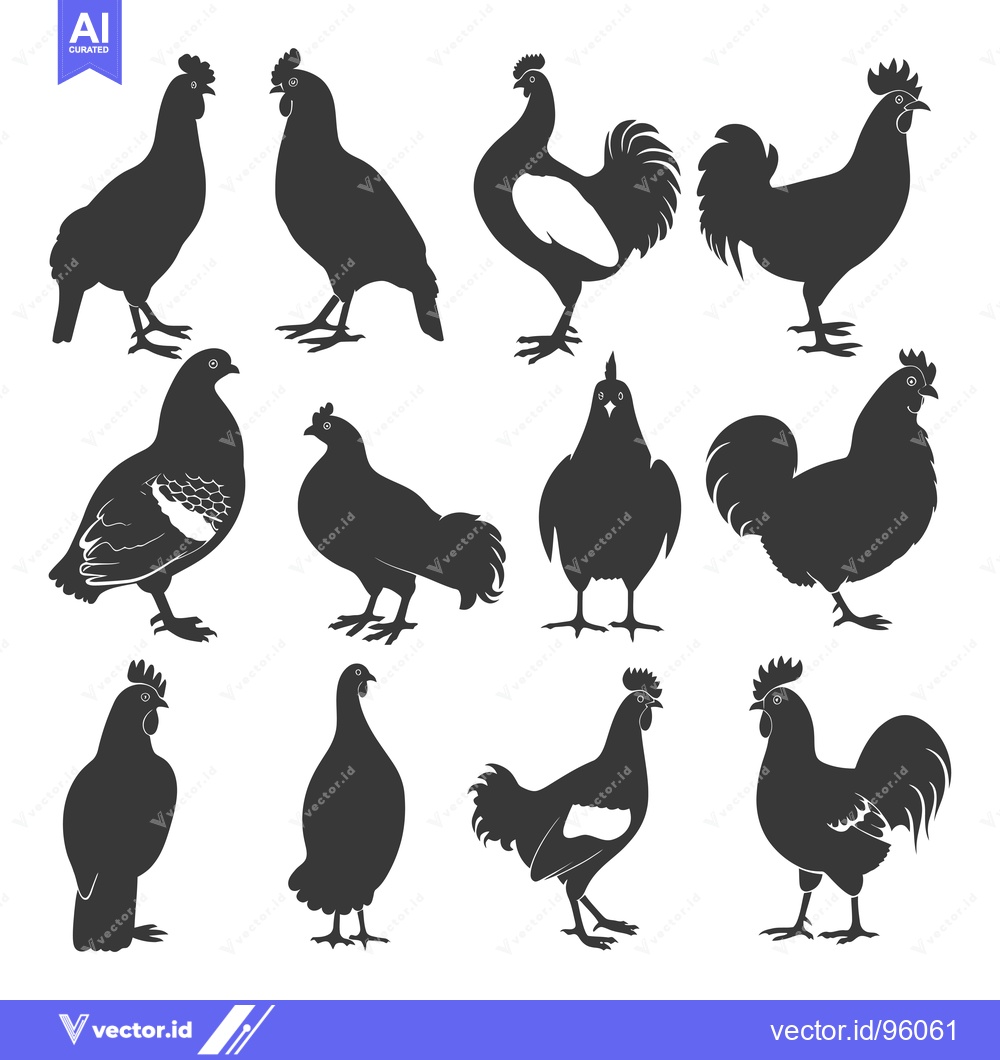 Premium Vector dari Set of Rooster and Hen Silhouettes in Various Poses