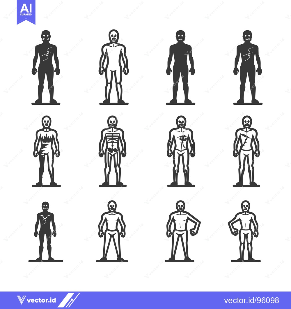 Premium Vector of Set of Silhouettes of Skeletonized Figures with Various Anatomical Det