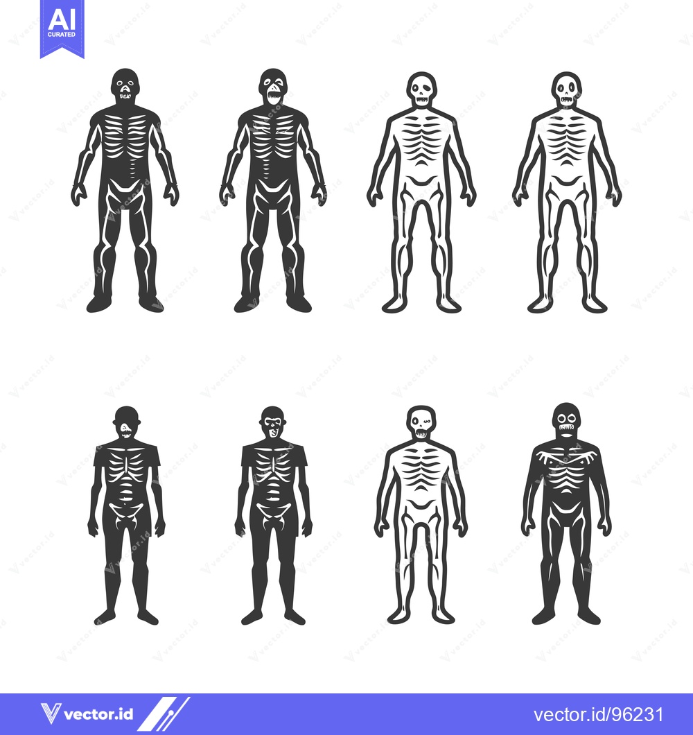 Premium Vector of Set of Skeletons with Different Levels of Detail in Black and White