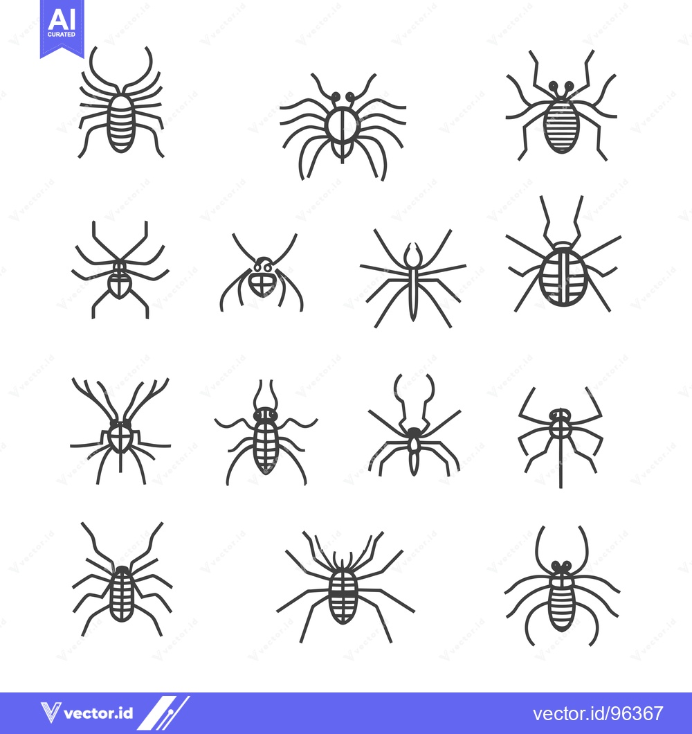 Premium Vector of Set of various spider illustrations, drawn in black outline