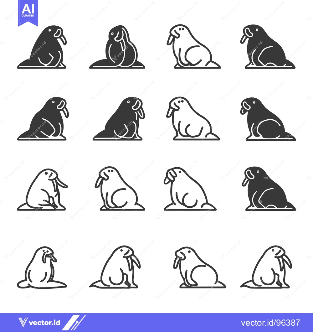 Premium Vector of Set of Walrus Line Icons, Black and White, Multiple Variations