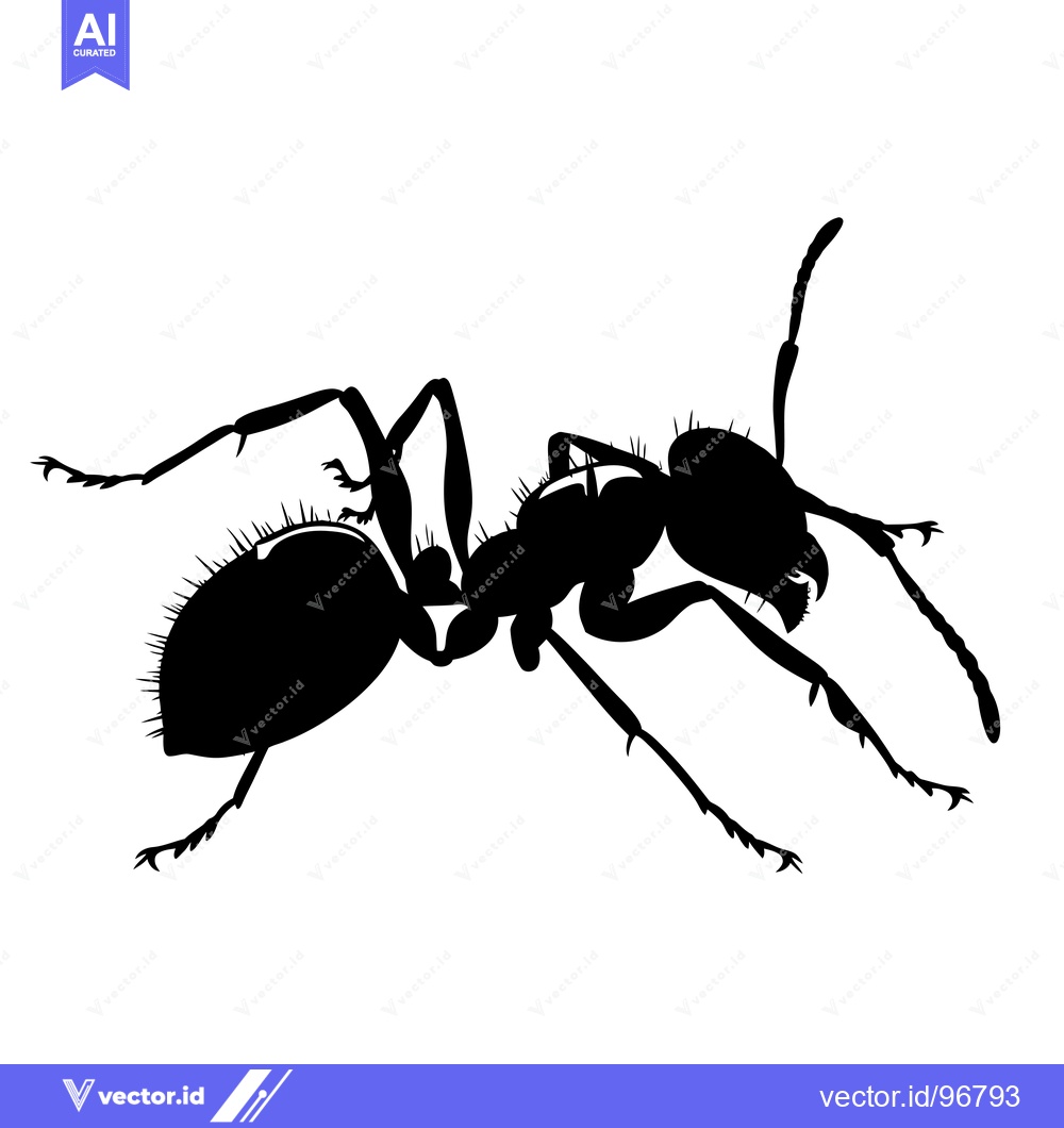 Premium Vector of Black Silhouette of an Ant with Six Legs