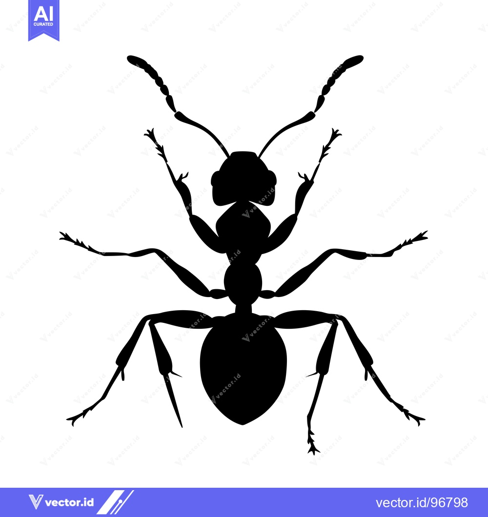 Premium Vector of Black Silhouette of an Ant with Six Legs