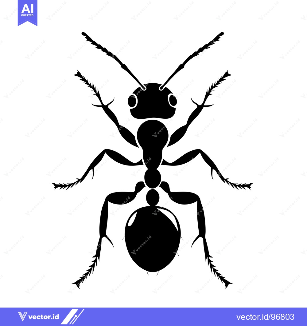 Premium Vector dari Black and white silhouette of an ant viewed from above