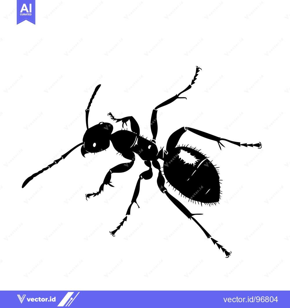 Premium Vector of Black and White Silhouette of an Ant