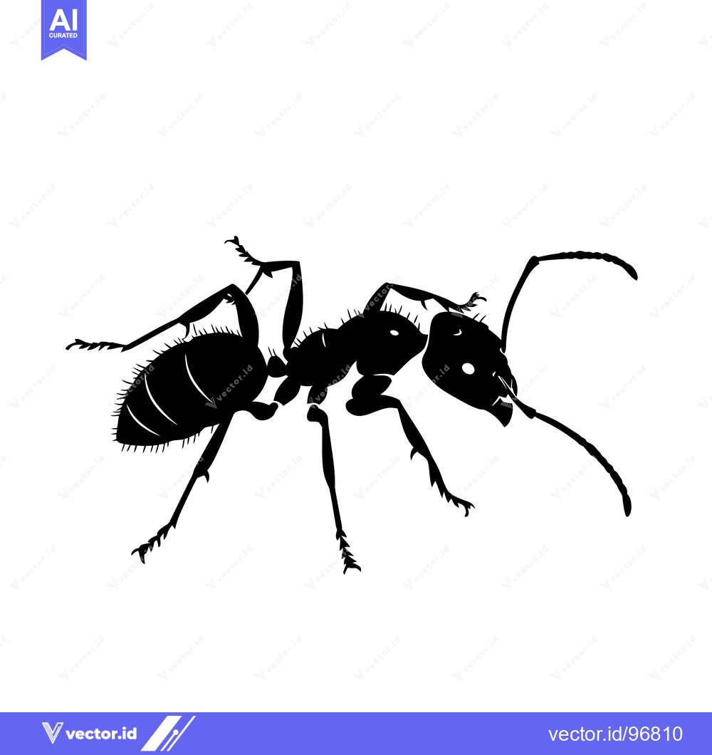 Premium Vector of Black and White Silhouette of an Ant with Six Legs