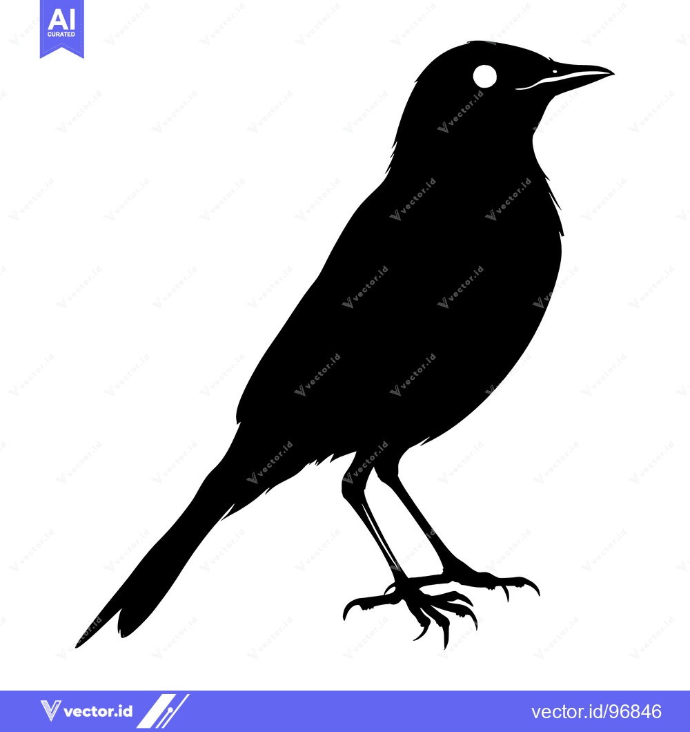 Premium Vector of Black and White Silhouette of a Bird with Sharp Claws